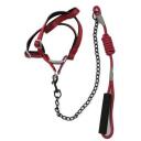Besk Loomade rihm koos rakmetega 9112861, 1.5cm, 0.8cm, ABS plastmass, Nailon, Teras
