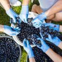 30 L k&auml;&auml;ritusn&otilde;u kaanega BROWIN 340433, pol&uuml;prop&uuml;leen, 30.0 L, 40.3x37.9x37.1 cm, 0.92 kg