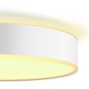 Philips Hue Gaismas lampa MODELIS 8718696176436, 19.2 W, Balta gaisma 2200-6500 K, Bluetooth, Dimmable, IP20