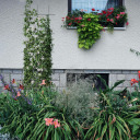 Augu balsts - Dārza režģis 150 x 45 cm 3 gab BIOOGROD 721424, tērauds, melns