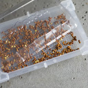 Seed sprouter tray + radish seeds BIOOGROD 745748