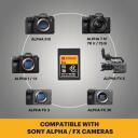 Kodak Atmiņas karte CFexpress Type A EKMCFXA480GK, 480GB, 900MB/s, 800MB/s, VPG 200