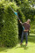 Teleskopinės gyvatvorių žirklės 500W 48cm THS 500/48 08883-20 GARDENA