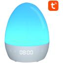 Gosund RGBW 16M LB2S, 5V, 1A, 50lm, 2700K, 80Ra, 2.4GHz, rakenduse juhtimine, &uuml;hilduvus Amazon Alexa, Google Assistant