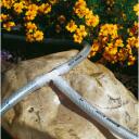 Gardena T-&Uuml;hendus 07300-20, 4mm, 2 tk, valge, plast