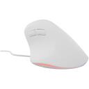 Genesis Datorspele NATEC CRAKE 2 PRO NMY-2273, 200-12800 DPI, 5 V, 6 pogas, optiskā, 1.5 m, 20 G, 1000 Hz, 13 RGB režīmi