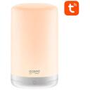 Gosund nutikas valgusl&uuml;liti LB3_, 110mm, 110mm, 225mm, 100lm, 5W, RGB v&auml;rv, IP20, &ouml;&ouml;lamp, integreeritud LED pirn