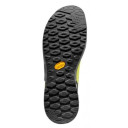Apavi TX2 EVO, izmērs: 42, Lime Punch/Electric Blue, 8020647124732 LA SPORTIVA