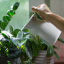 Plant irrigator - leaf transparent with ceramic spike, 120 ml BIOOGROD 720988, 8.8x6x20 cm, 37 g