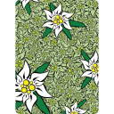 Lakats 4FUN Original, Think Green, 5903313814232 4FUN