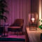 Nutipirn Philips Hue E27 2x570lm 60W, 2tk.