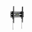 Gembird Seina kinnitamine WM-75T-04, 37-75", 75 kg, kallutus, must