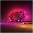 Philips Hue Festavia gaismas virkne 8720169246621, 250 LED, 20m, 14 W, maināms, Bluetooth, balss vadība