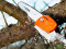 Augsto zaru zāģis KombiTool HT-KM 41822000212 STIHL