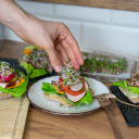 Seed sprouter tray + radish seeds BIOOGROD 745748