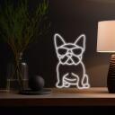 Manta LED valguslint SNL66WH, 5W, 5V, 26cm, 40cm, USB, pleksiklaas, koer, 2m kaabel