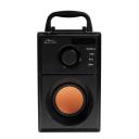 Media-Tech Boombox BT MT3145_V2, 15 W, 6 ч, Bluetooth, FM, 3.5 мм AUX, microSD, USB, пульт дистанционного управления