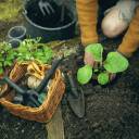 Lāpstiņa Fiskars Solid&trade;, 1071899, 65% pārstrādāts plastmasas, UV izturīga, ergonomisks rokturis