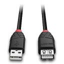 Lindy 42817 USB prailginimo kabelis 5m, USB Type A vyras/USB Type A moteris, juodas