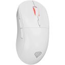 Genesis Zircon XIII Custom pele, NMG-2090, 26000 dpi, 7 pogas, optiskā, bezvadu, 2.4 GHz, USB