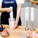 Zelmer Rankinis blenderis ZHB4561I 70105595P, 800 W, 2 peiliai, nerūdijančio plieno kojos, 800 ml matavimo taurė