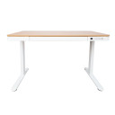 Rakstāmgalds ERGO ar 1 motoru 120x60xH72-121cm, balts/ozols 18705