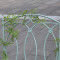 Садовый стул MINT складной 42x51xH90см, кованое железо, антично-зеленый 40053 HOME4YOU