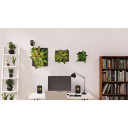 REVIVA LINE LASER LEVEL REVBDLL100-XJ BLACK DECKER