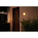 Philips Hue Āra sienas lampa Daylo 8718696174401, 15 W, 2000-6500 K, LED, IP44, 1060 lm