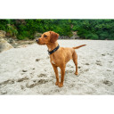 Suņu kaklasiksna, mīksta un izturīga, 360-580 mm, melna, R742901, MOUNTAIN PAWS