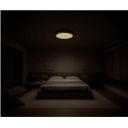 Išmani LED lubų lempa 30W 1700lm 2700–5700K diametras 35cm Smart Ceiling Light BHR9934GL Xiaomi