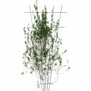 Augalų atrama - Sodo grotelės 150 x 75 cm BIOOGROD 721423, plienas, juoda