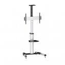Sbox TV hoidik FS-446, 37-70, 50kg, 600x400, VESA 200x200-600x400, k&otilde;rgus 1200-1600mm, 4 ratast
