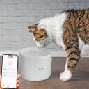 Tellur Smart WiFi dzīvnieku ūdens dozators TLL331471, 2L, DC 5V/1A, UV sterilizācija, zema ūdens līmeņa brīdinājums