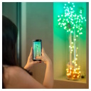 Svētku dekora viedā LED gaismas virtene 6m sirdis 200 RGB diodes zaļš vads USB C TWKH200RGB-G Twinkly Candies