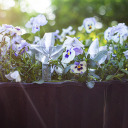 Plant irrigator - leaf transparent with ceramic spike, 120 ml BIOOGROD 720988, 8.8x6x20 cm, 37 g