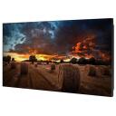 Samsung Monitor VM55B-U LH55VMBUBGBXEN, 55", 1920 x 1080, 500 cd/m&sup2;, D-LED, 2xHDMI, 1xUSB 2.0, 178&deg;/178&deg;, VESA 600 x 400