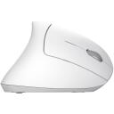 Trust Verto hiir 25132, 1600 DPI, 10m traadita, 6 nuppu, ergonoomiline disain, valge
