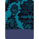 Lakats 4FUN Polartec, Adventure, 5903313896252 4FUN