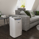 Gaisa sausinātājs AD30 Hybrid 01794 Wood‘s