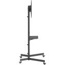 Gembird TVS-70T-01, regulējams statīvs, 37-70", 45kg, 4 riteņi, VESA 100x100-600x400, melns