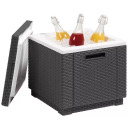 Külmakast Ice Cube KETER 29194600939, 42x42x41 cm, 40L, hall