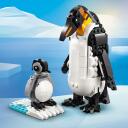 Lego Konstruktors 3in1 Savvaļas dzīvnieki: Pandu ģimene 31165, 626 gab., Dzīvnieki, Plastmasa, 8 g., 626