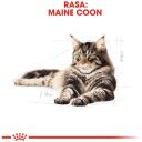 Royal Canin FBN Maine Coon, RC POS musthave, 12x85g, 10% olb., 4.3% tauku, 1.6% &scaron;ķiedrv., 78% mitrums, vistas gar&scaron;a, svars 1-1.9kg