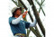 Arboristu zāģis Gomboy Curve 270-8 4903585717270 SILKY