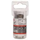 Bosch Puuriotsik 2608587114, 16mm, 30mm, teemanttip, plaadid, kivi
