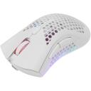 White Shark Juhtmevaba m&auml;ngurihiir WGM-5012 LIONEL-W, 10 000 DPI, 6 nuppu, USB 2.0, 500 mAh, RGB valgustus