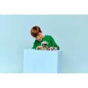 Lego LEGO MINECRAFT 21586 The Pale Garden, 243, 3, 7+ aastat