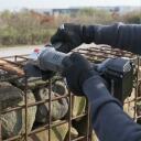 Leņķa slīpma&scaron;īna 18V &Oslash;115mm, POWERPLUS, POWEB3510, bez akumulatora un lādētāja