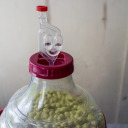 Дрожжи Restart BROWIN 400305 22 г